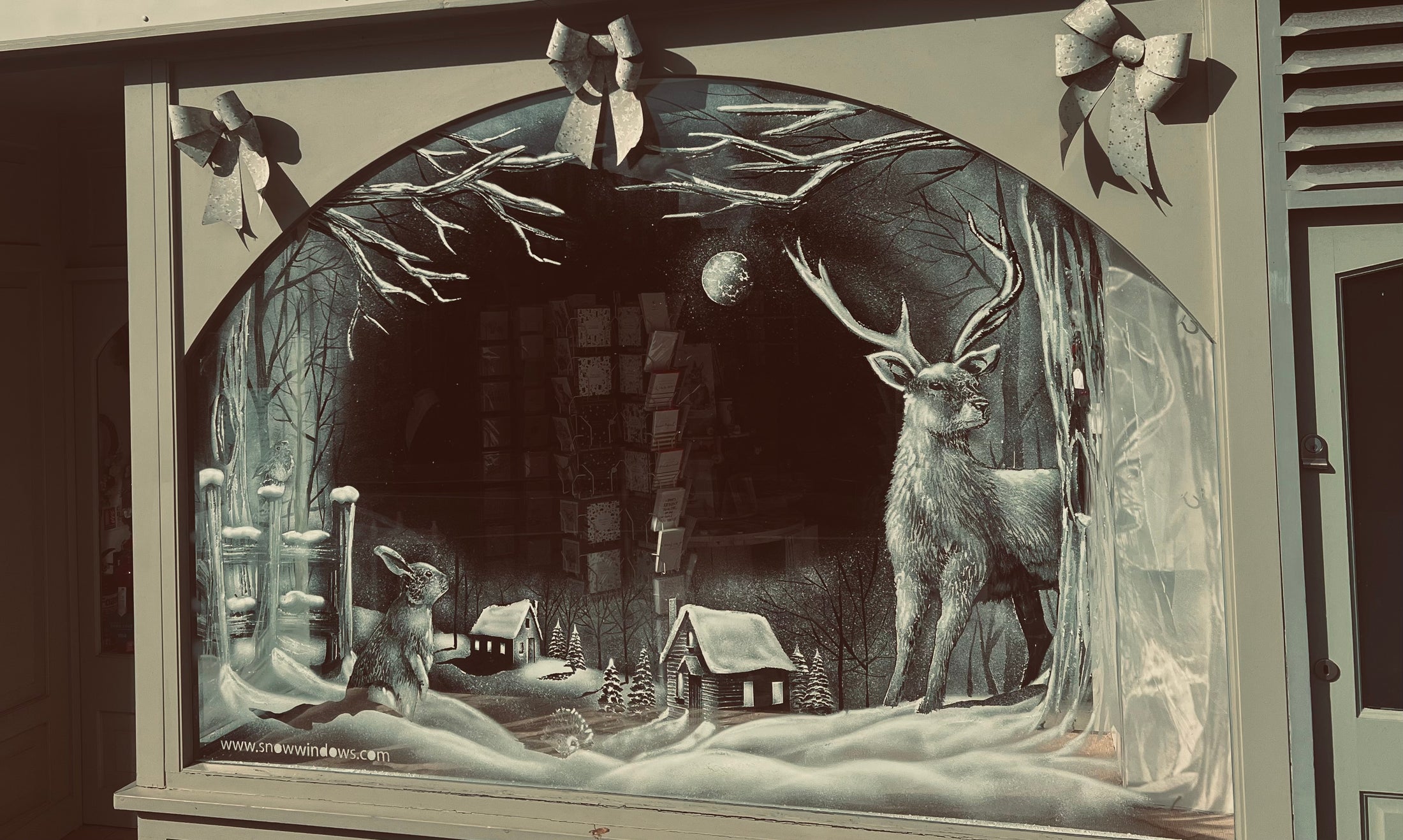 Gallery Snow Windows